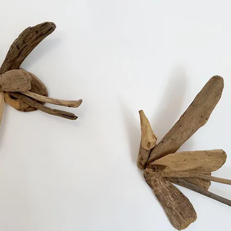 Rosa Whg 07 Aurora Mit Sued West Balkon * Sellin (Rugen)