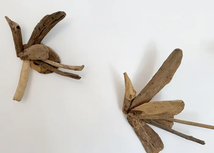 Rosa Whg 07 Aurora Mit Sued West Balkon * Зеллин